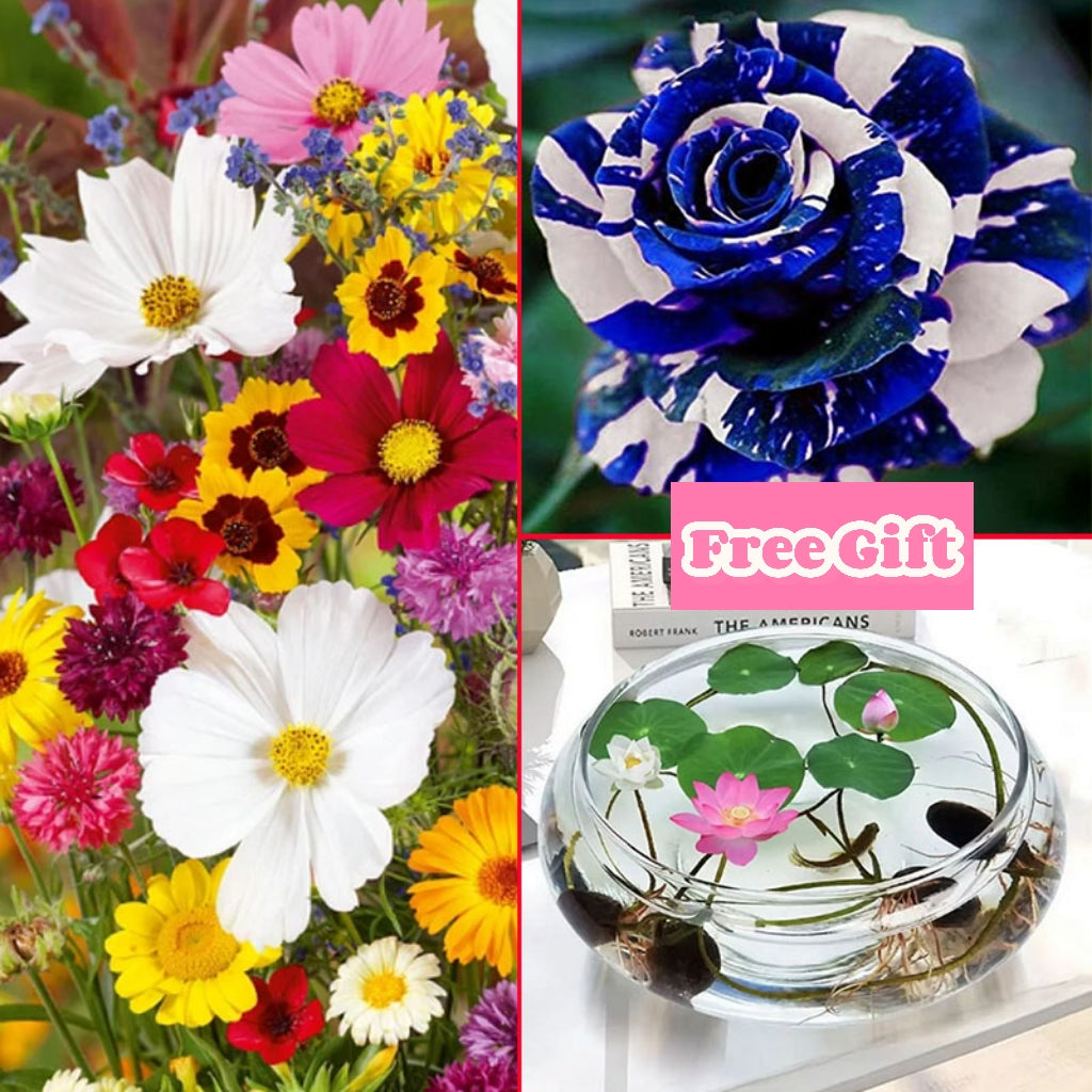 🔥Zadnji dan prodaje💐Mešana semena trajnic - več kot 60 mešanih sort-SI