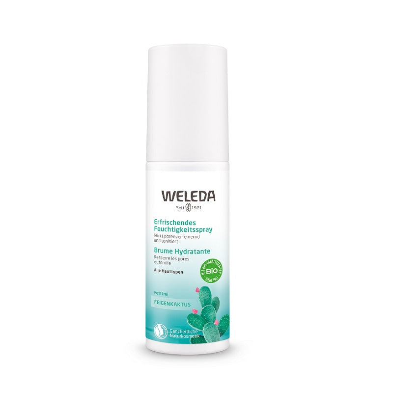 Vlažilna meglica KAKTUS FIGE