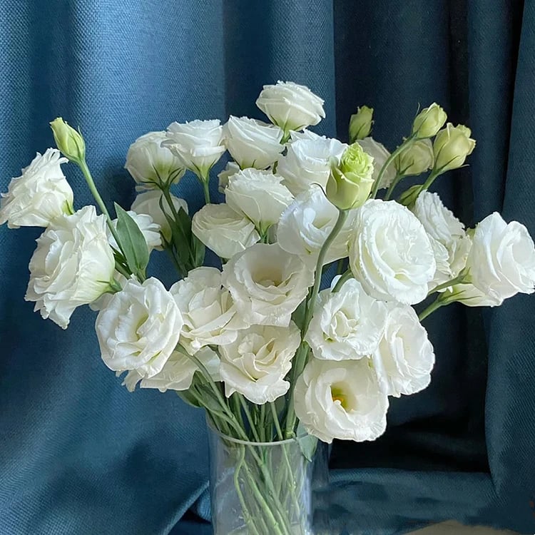 🔥Paskutinė išpardavimo diena💝Eustoma bespygliuočių rožė💐Lisianthus sėklos-LT