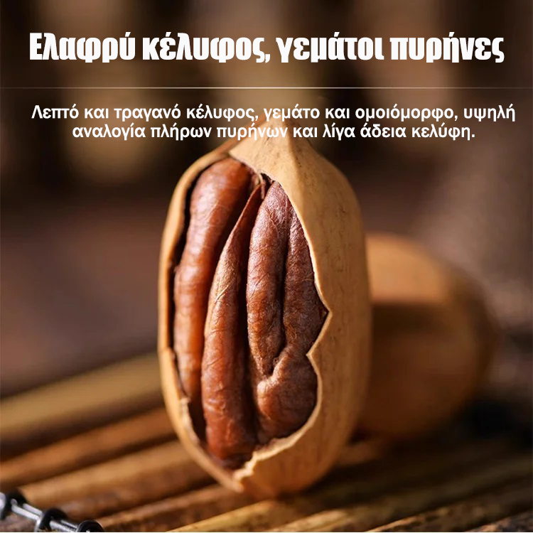 Εισαγόμενα πεκάν από την Αμερική-GR 