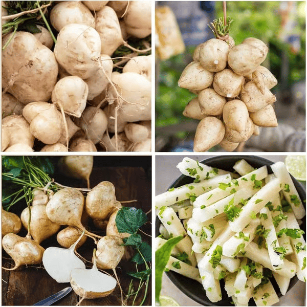 Ekskluzivna ponudba💥Bogato, sočno in hranljivo hrustljavo sadje - sladka jikama za sajenje doma🍠-SI