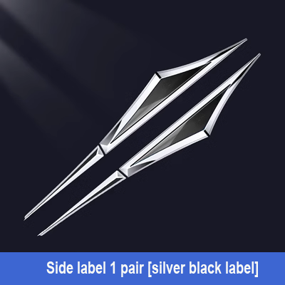 Kūrybingi cinkuoto metalo automobilių lipdukai✨2 vnt.✨-LT