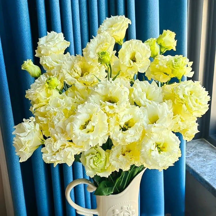 🔥Τελευταία μέρα πώλησης💝Eustoma Thornless Rose💐Σπόροι Lisianthus-GR