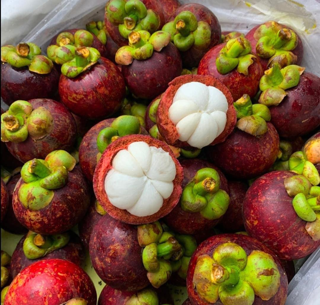 Mangostanas-LT