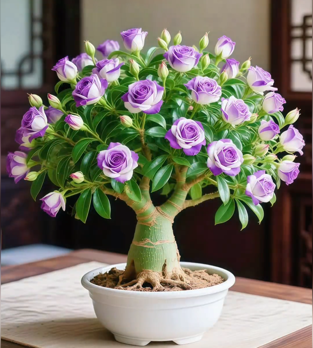 🌵 Retos dykumos rožių sėklos 🌺 Lengva auginti-LT