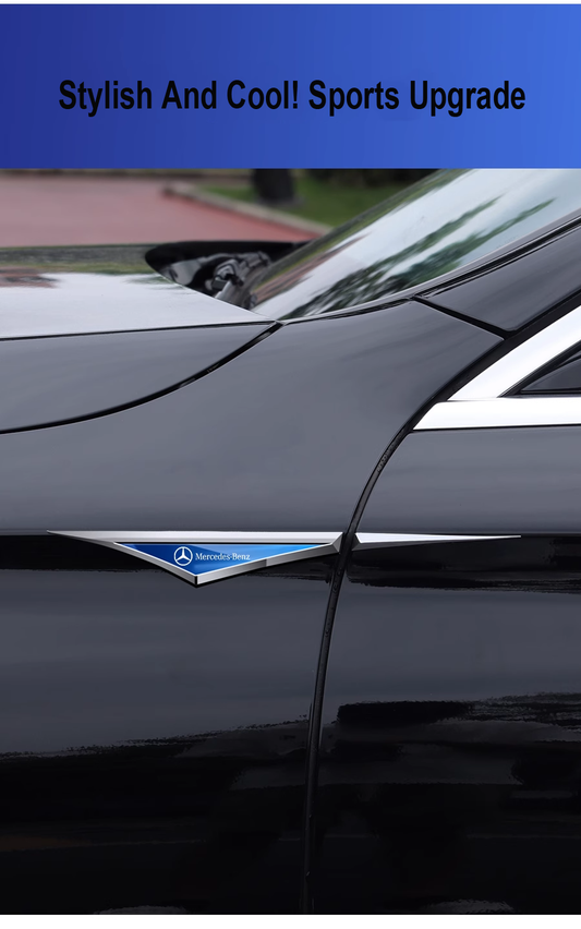 Kūrybingi cinkuoto metalo automobilių lipdukai✨2 vnt.✨-LT