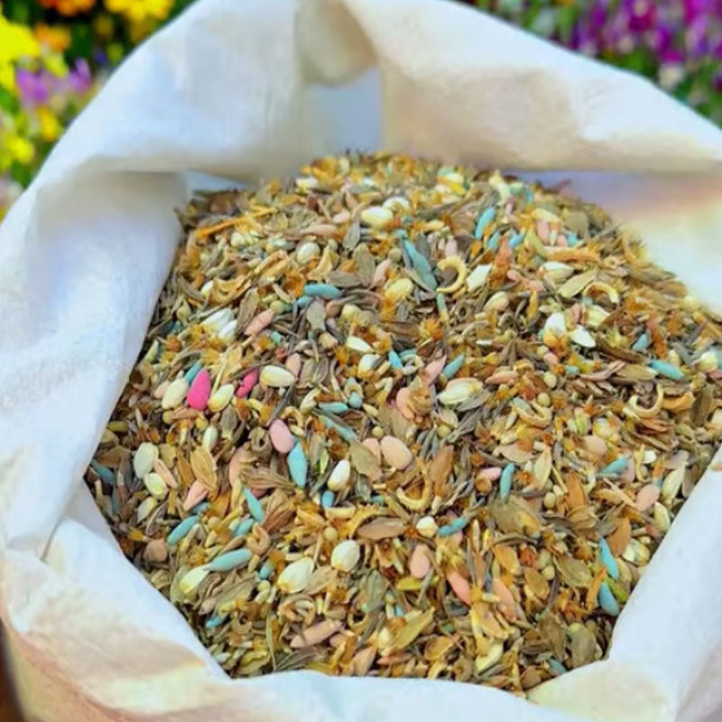 🔥Zadnji dan prodaje💐Mešana semena trajnic - več kot 60 mešanih sort-SI