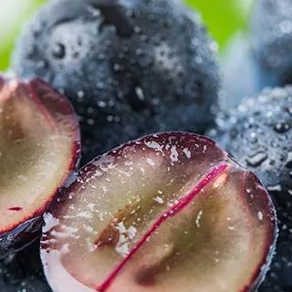 Σπόροι σταφυλιού Jabuticaba-GR
