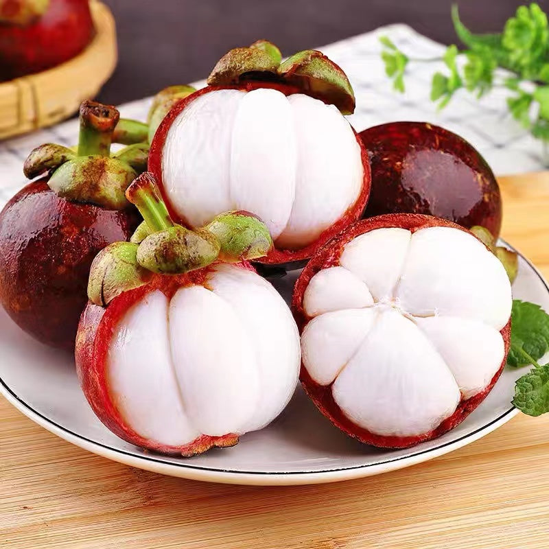 Mangostin-SI