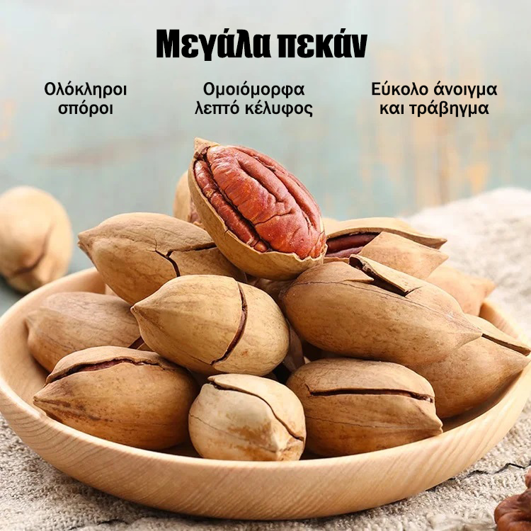 Εισαγόμενα πεκάν από την Αμερική-GR 