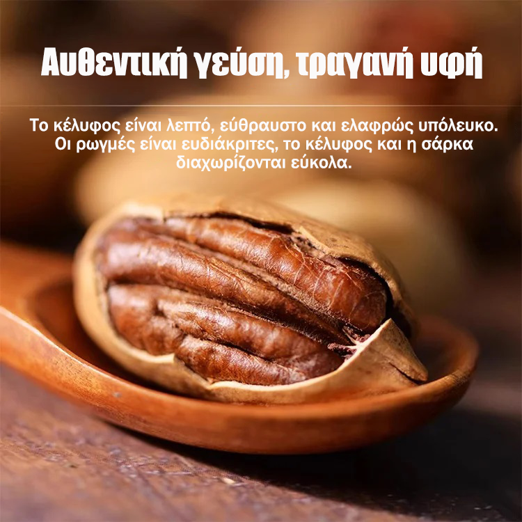 Εισαγόμενα πεκάν από την Αμερική-GR 