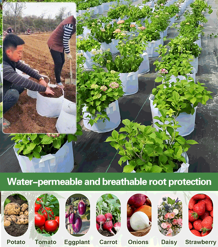 【10 τεμ.】🌱3/4/5/7/10 γαλόνι Σάκοι καλλιέργειας λαχανικών/λουλουδιών/φυτών, δυνατές μη υφασμένες σακούλες ανάπτυξης-GR