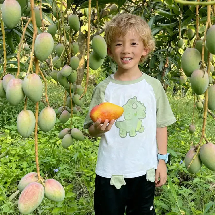 🥭 Žametne, sladke in sočne sadike manga – začutite okus tropov v svojem domu 🌴-SI
