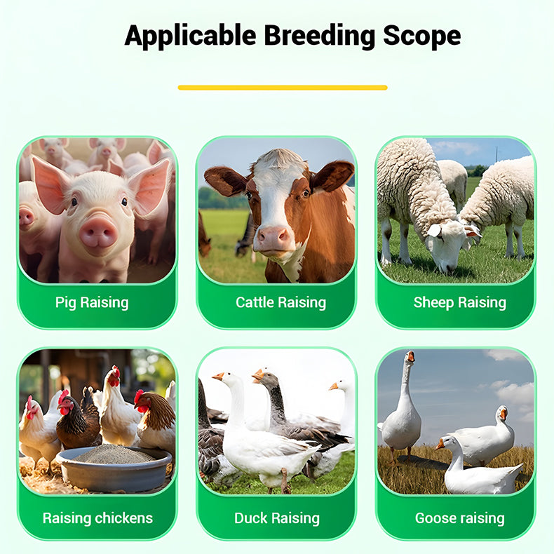 🐔🐦 Posebno antihelmintično zdravilo za ribogojstvo | Zdravi notranje in zunanje zajedavce, eno zdravilo za večkratno uporabo! 💊-SI