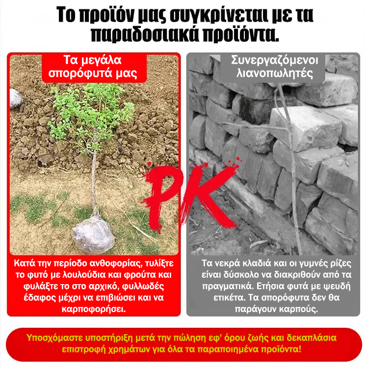 Εισαγόμενα πεκάν από την Αμερική-GR 