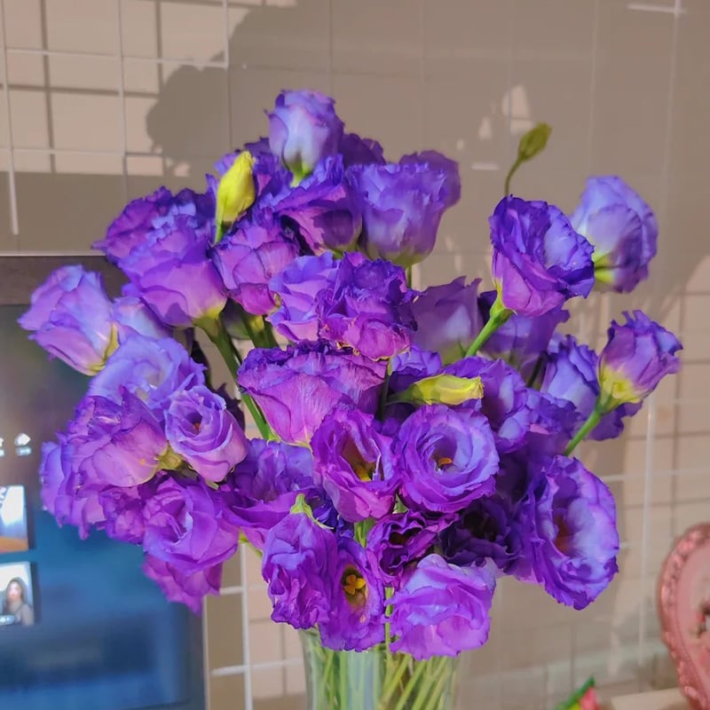 🔥Τελευταία μέρα πώλησης💝Eustoma Thornless Rose💐Σπόροι Lisianthus-GR