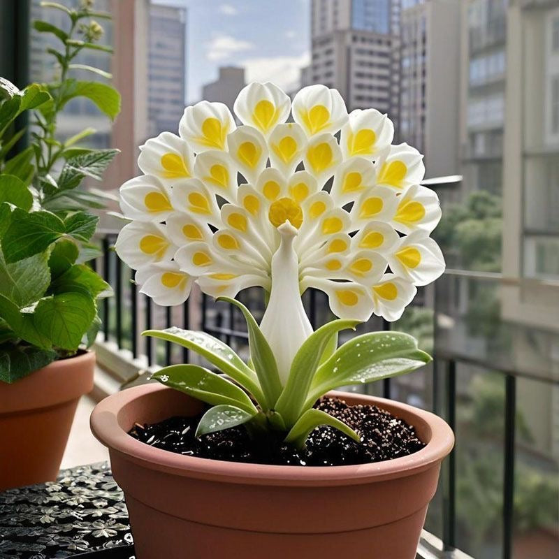 💠 »Kraljica dišečih cvetov – čebulice orhidej Peacock za pravi vrtni luksuz«-SI