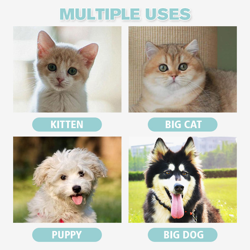 🐕LED kaip griezējs prämättiem🐈 