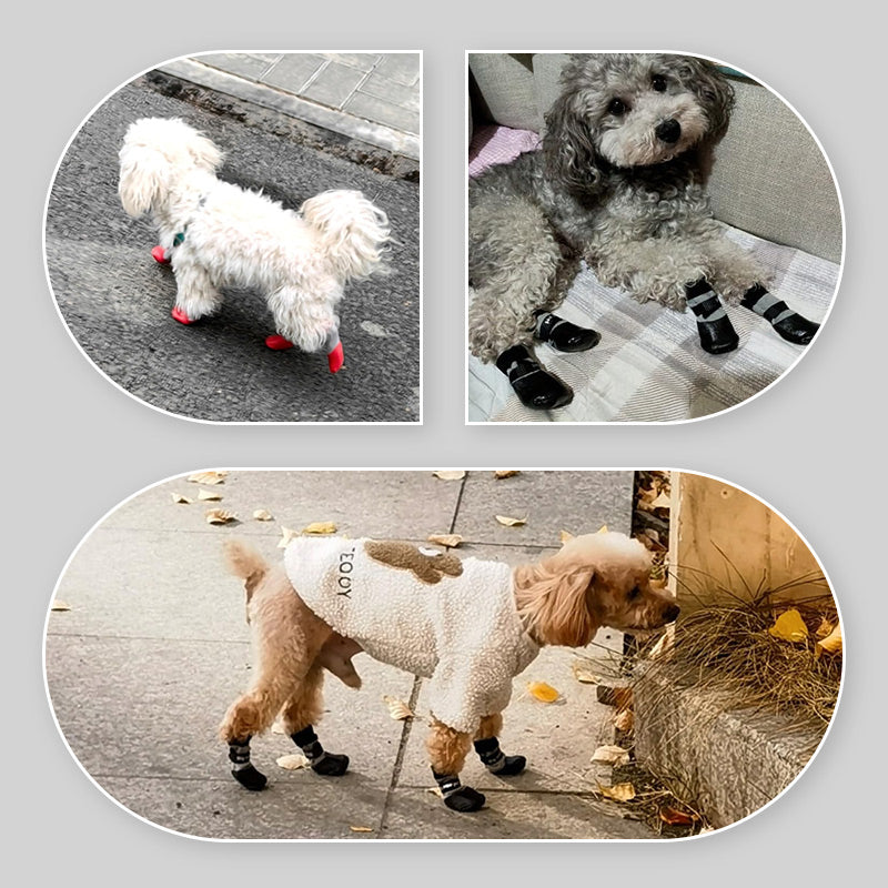 🐶2 para nedrsečih vodoodpornih pasjih nogavic-SI