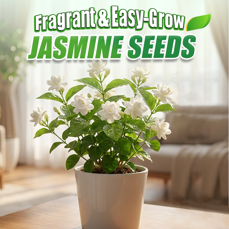 ✨🌸 Semena jasmina (z gnojilom): aromatična in enostavna za gojenje🍃-SI